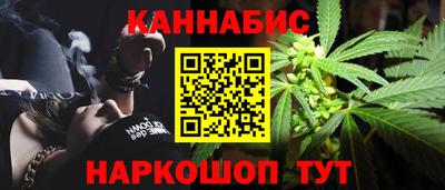 гашик Берёзовский