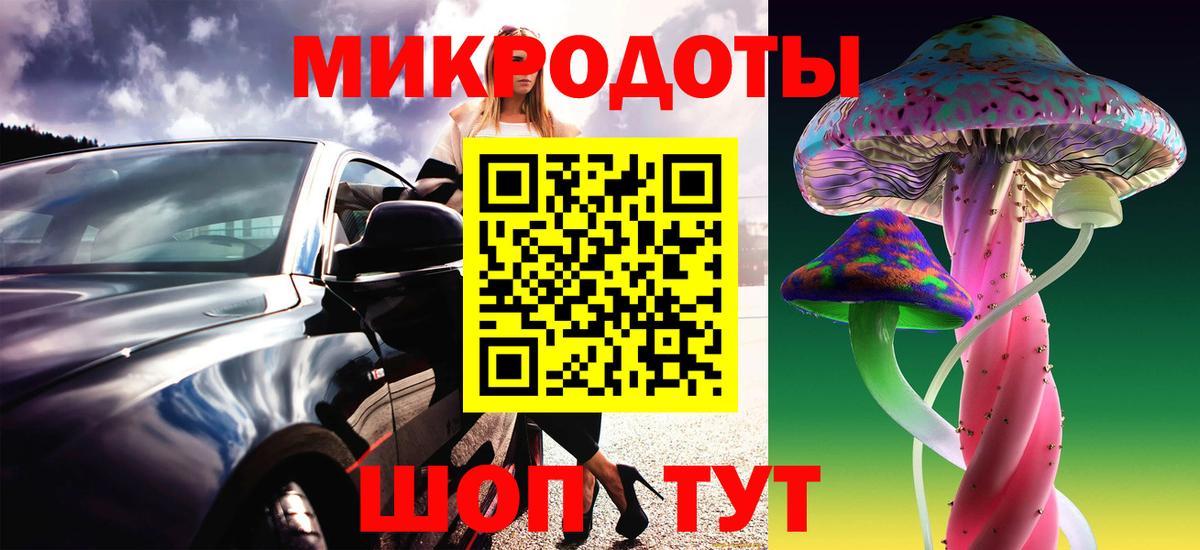 Галлюциногенные грибы Psilocybine cubensis  Вход с VPN  Гулькевичи 